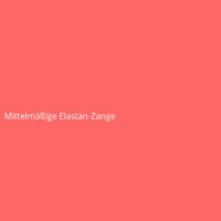 Mittelmäßige Elastan-Zange