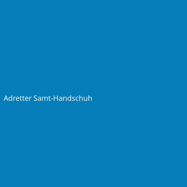 Adretter Samt-Handschuh