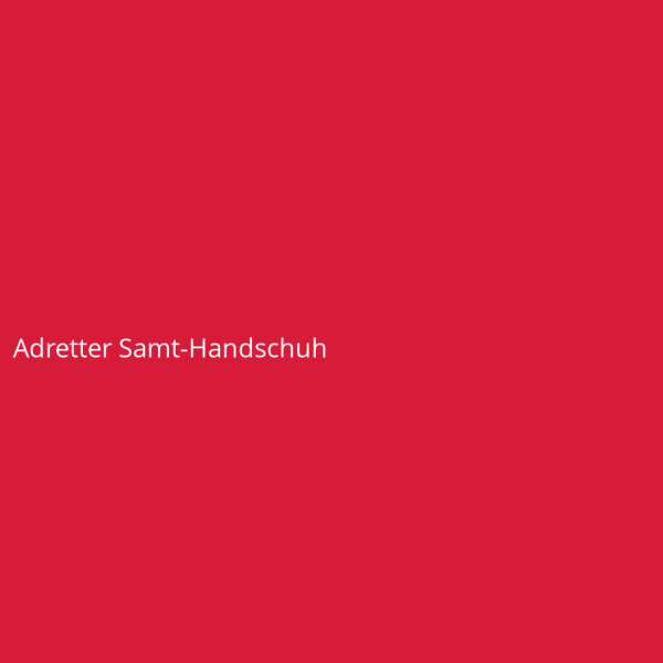 Adretter Samt-Handschuh