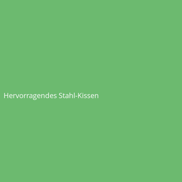 Hervorragendes Stahl-Kissen