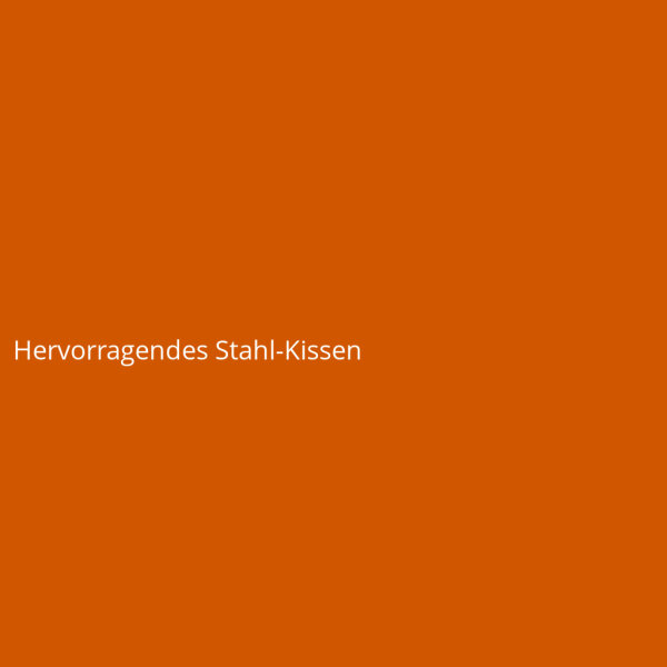 Hervorragendes Stahl-Kissen